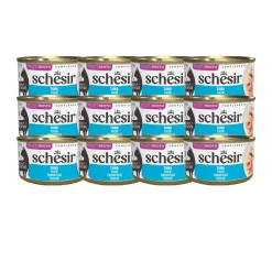 Schesir Tonnikala kastikkeessa, 70 g