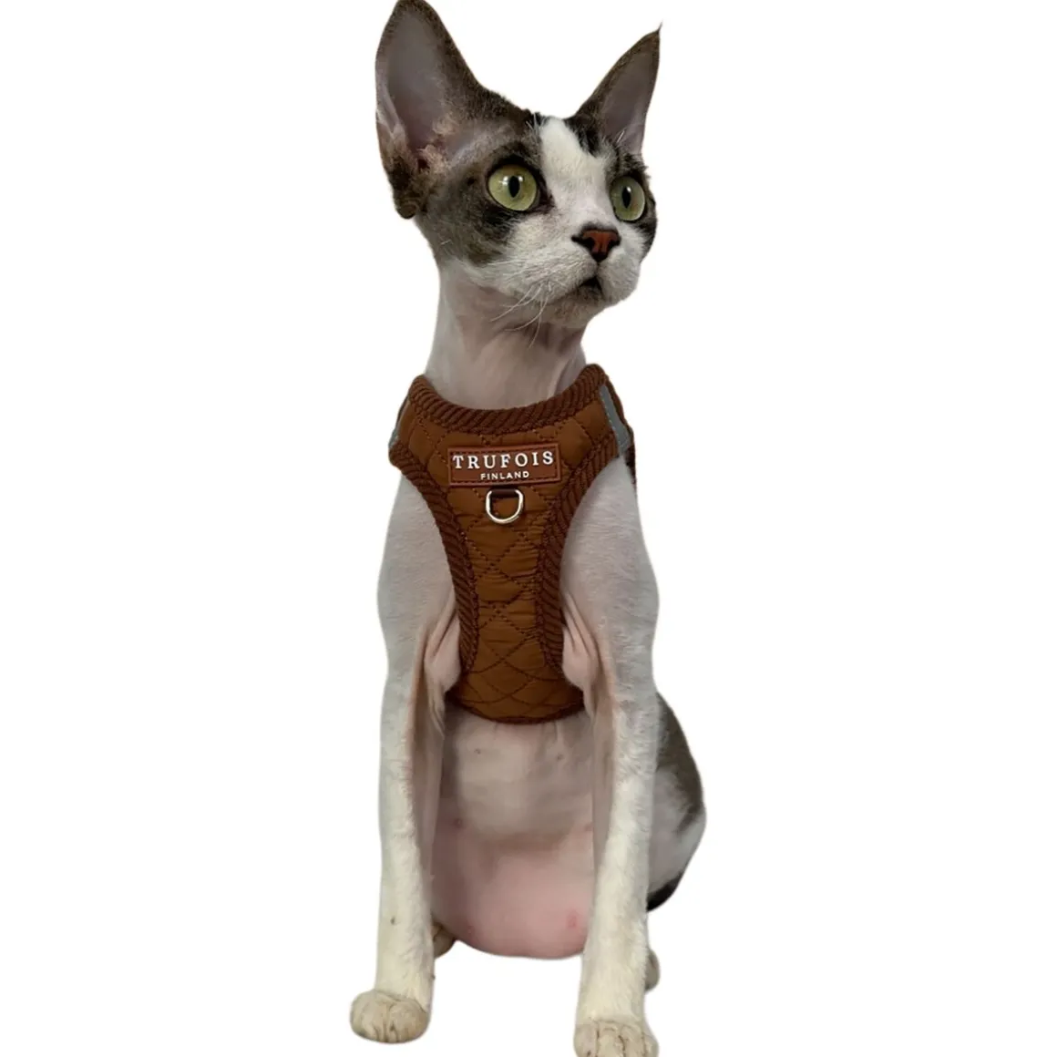 Step-In-valjaat Trufois, Macchiato Brown