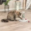 Trixie Cat Activity Gambling Tower