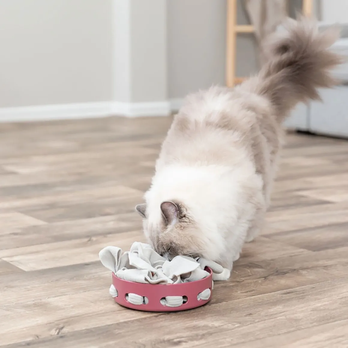 Trixie Cat Activity Hide'n'Sniff Bowl