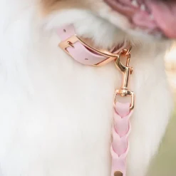 Tyylivoitto Braid talutin, baby pink/ruusukulta