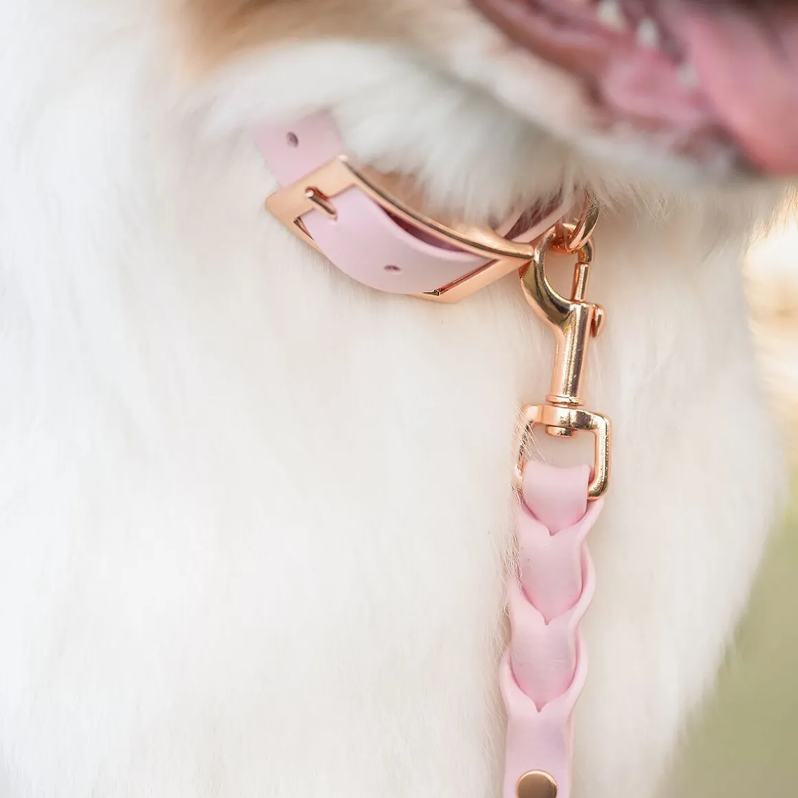 Tyylivoitto Braid talutin, baby pink/ruusukulta