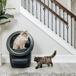 Whisker Litter-Robot 4, musta