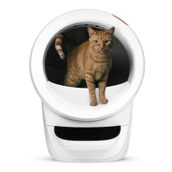 Whisker Litter-Robot 4, valkoinen