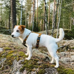 Woolly Wolf Sea to Summit valjaat
